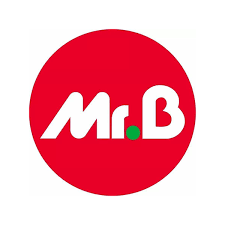 Logo Mr.Bricolage